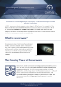 Ransomware Datasheet